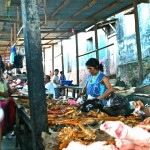 market; Iquitos - image by Sam Slovick market; Iquitos - image by Sam Slovick