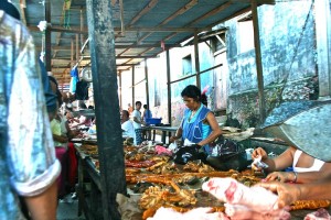 market; Iquitos - image by Sam Slovick