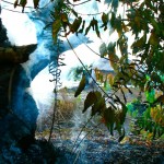 Jungle fire; Iquitos - image by Sam Slovick Jungle fire; Iquitos - image by Sam Slovick