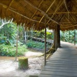 IMG_4666 Iquitos - image by Sam Slovick