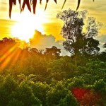 Peruvan sunset; Iquitos - image by Sam Slovick Peruvan sunset; Iquitos - image by Sam Slovick